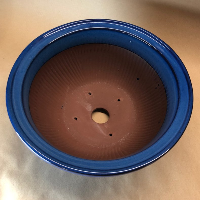 Bonsai-skl, JAP201, rund, kant, hj, glaseret kongebl 