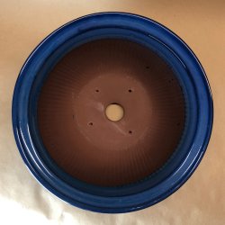 Bonsai-skl, JAP201, rund, kant, hj, glaseret kongebl 