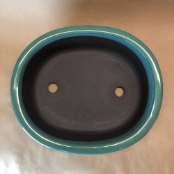 Bonsai-skl, JAP3-L, glaseret, oval, flaskegrn