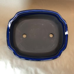 Bonsai-sk�l, JAP4-L, glaseret, sky, kongebl�