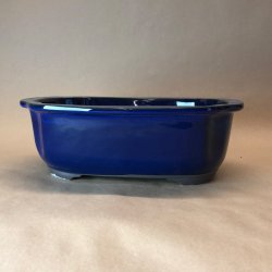 Bonsai-sk�l, JAP4-M, glaseret, sky, kongebl�