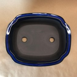 Bonsai-sk�l, JAP4-M, glaseret, sky, kongebl�