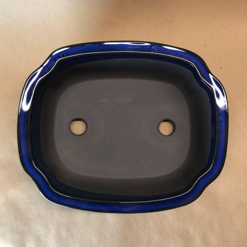 Bonsai-skl, JAP4-M, glaseret, sky, kongebl