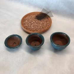 Bonsai-skle, MINI, glaseret bl