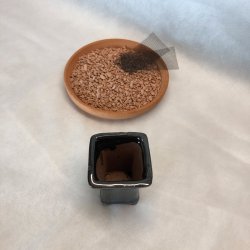 Bonsai-skle, MINI, glaseret brun