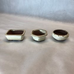 Bonsai-skle, MINI, glaseret creme
