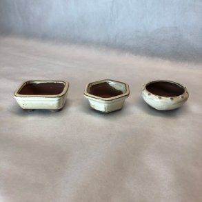 Bonsai-skle, MINI, glaseret creme