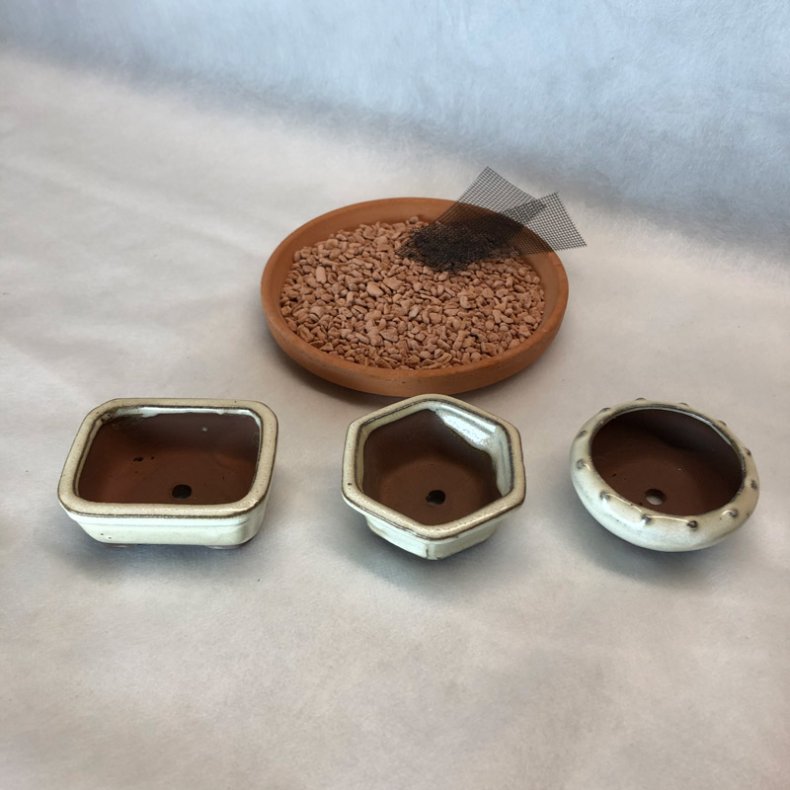 Bonsai-skle, MINI, glaseret creme