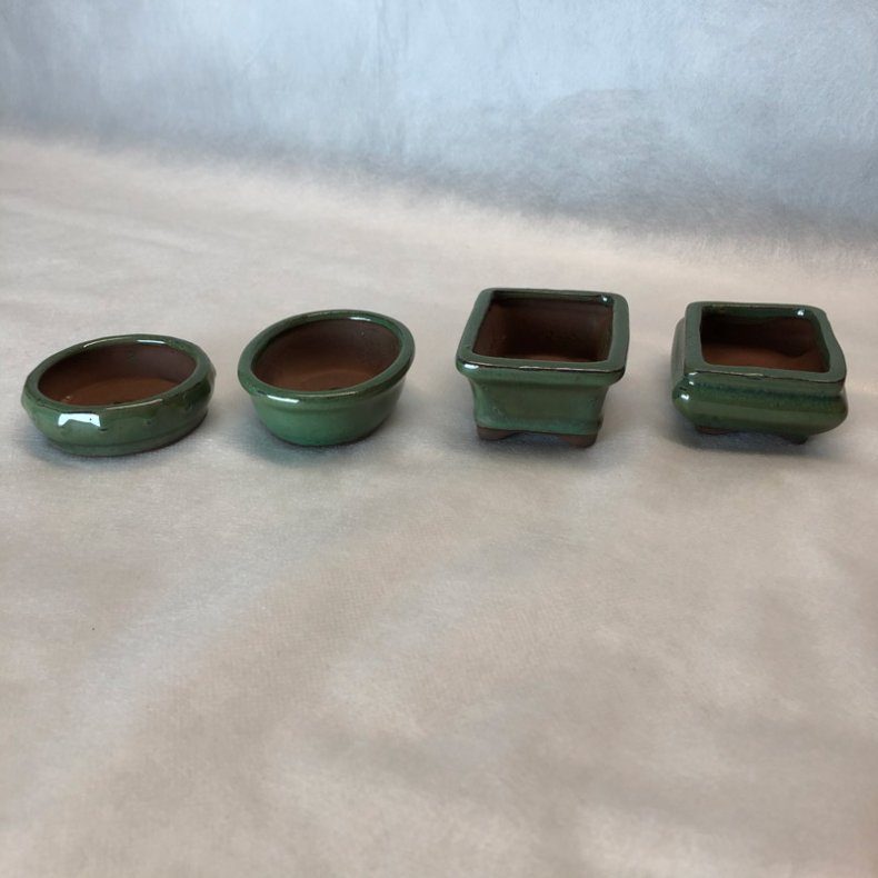 Bonsai-skle, MINI, glaseret grn Oval, flad
