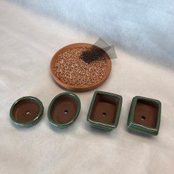 Bonsai-skle, MINI, glaseret grn