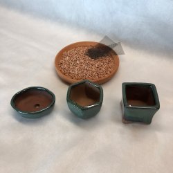 Bonsai-sk�le, MINI, glaseret m�rkegr�n