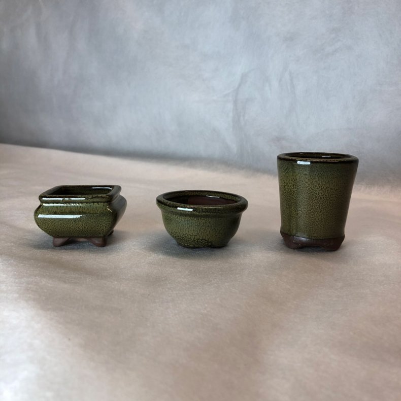 Bonsai-skle, MINI, glaseret oliven Rund, hj, vaseformet