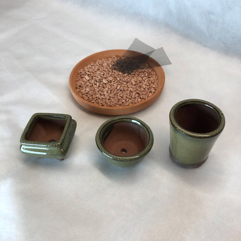 Bonsai-sk�le, MINI, glaseret oliven