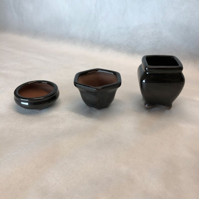 Bonsai-skle, MINI, glaseret sort Kvadratisk, hj, vaseform 