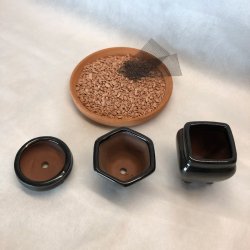 Bonsai-sk�le, MINI, glaseret sort