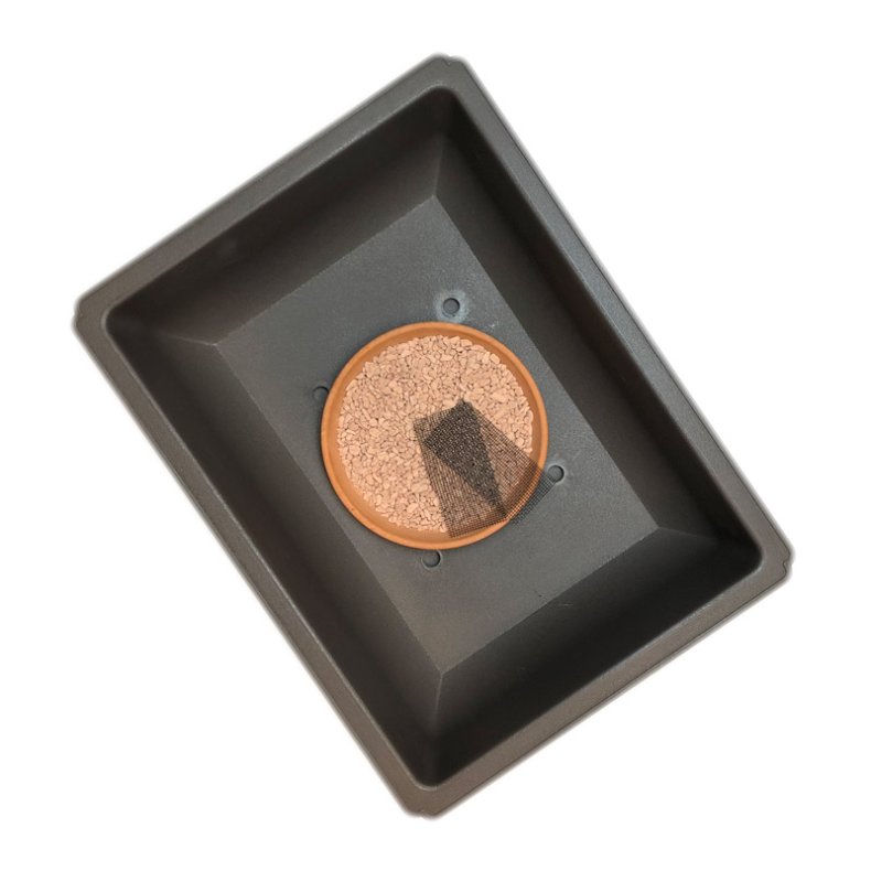 Bonsai-skle - Brune, Trning, Kunsstof