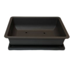 Bonsai-skle - Brune, Trning, Kunsstof