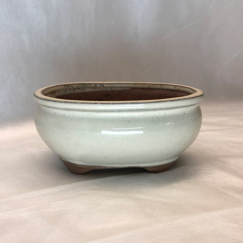 BRUGT: Bonsai-sk�l, str. 1, glaseret, oval, creme