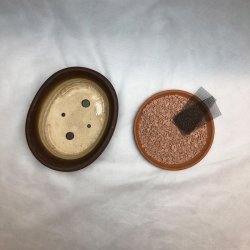 BRUGT: Bonsai-skl, str. 1, glaseret, oval, matbrun