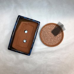 BRUGT: Bonsai-skl, glaseret, rektangulr, bl/sort