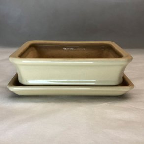 BRUGT: Bonsai-sk�l, str. 1, glaseret, rektangul�r, creme