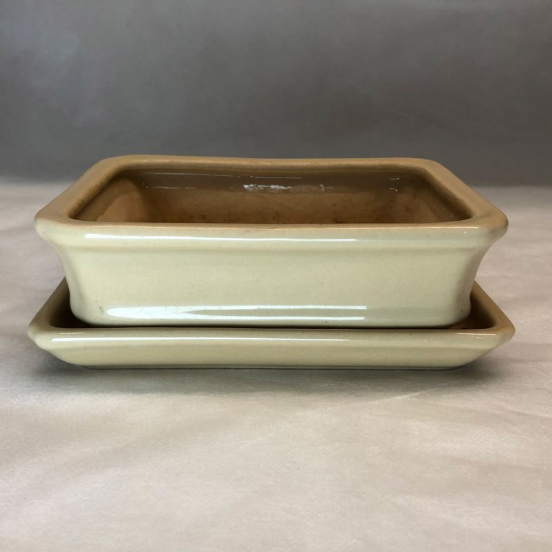 BRUGT: Bonsai-sk�l, str. 1, glaseret, rektangul�r, creme