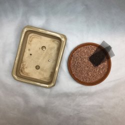 BRUGT: Bonsai-sk�l, str. 1, glaseret, rektangul�r, creme