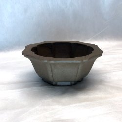 Shohin-skl, Klverblad rund