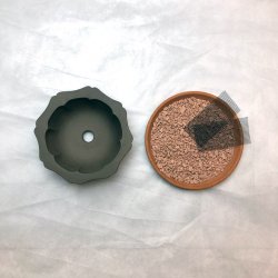 Shohin-skl, Klverblad rund