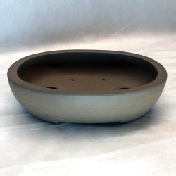 Shohin-skl, Oval
