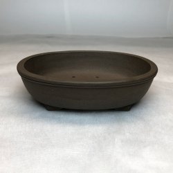 Shohin-skl, Oval