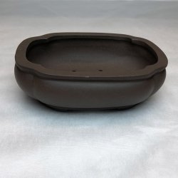 Shohin-skl, Klverbladsformet