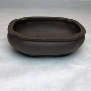 Shohin-skl, Klverbladsformet