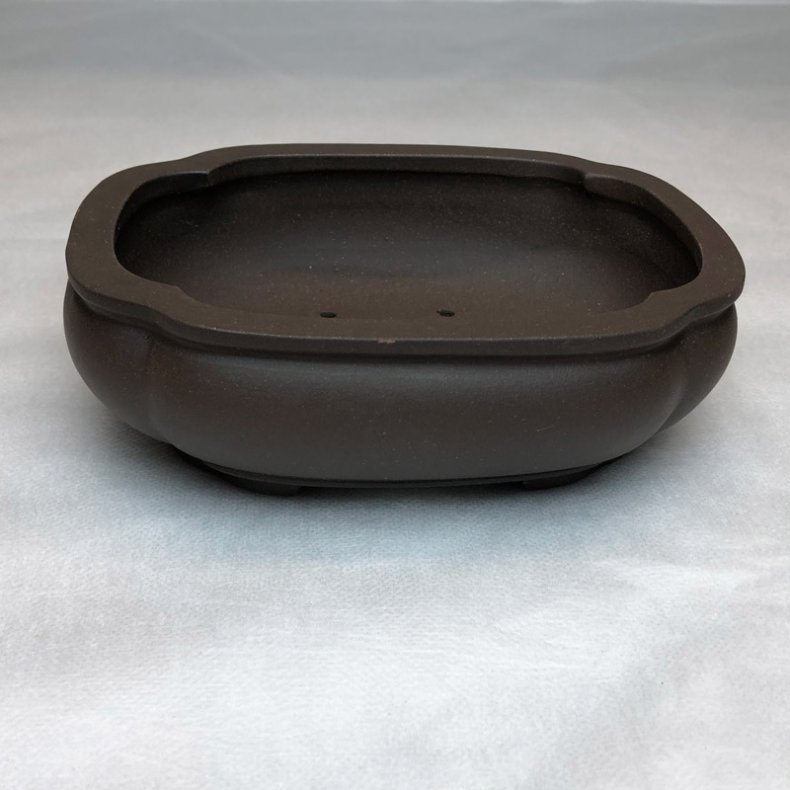 Shohin-sk�l, Kl�verbladsformet