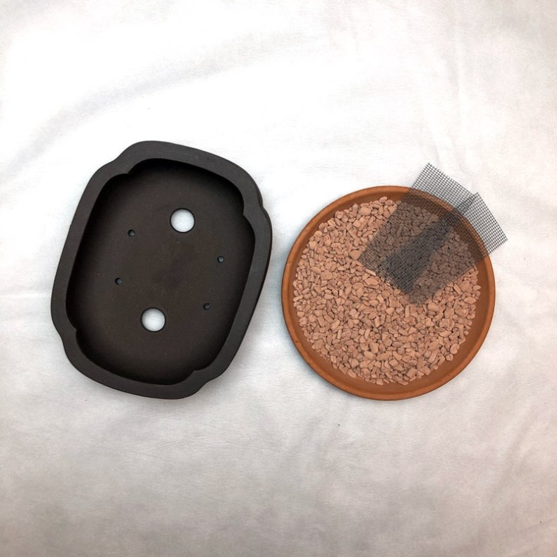 Shohin-skl, Klverbladsformet