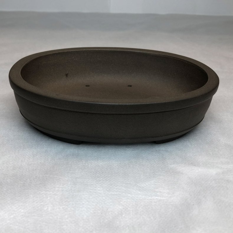 Shohin-sk�l, Oval med kant