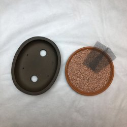 Shohin-skl, Oval med kant