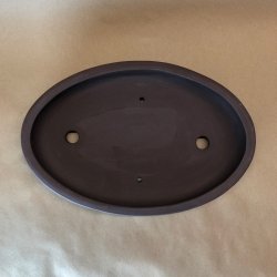 Bonsai-skl, uglaseret, oval