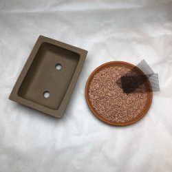 Bonsai-sk�l, str. 1, uglaseret, rektangel, med kant