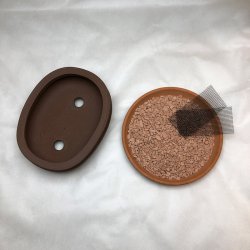 Bonsai-skl, str. 1, uglaseret, oval med kant