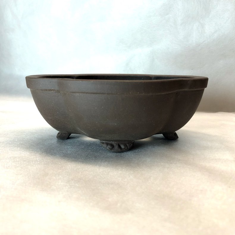 Bonsai-sk�l, str. 1, uglaseret, kl�verbladsform