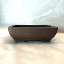 Bonsai-sk�l, str. 1, uglaseret, rektangel, buet