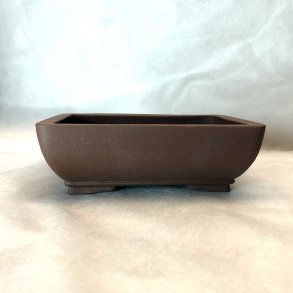 Bonsai-sk�l, str. 1, uglaseret, rektangel, buet