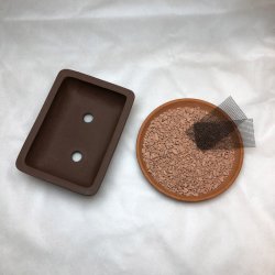 Bonsai-skl, str. 1, uglaseret, rektangel, buet