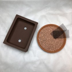 Bonsai-skl, str. 1, uglaseret, rektangel, ret kant