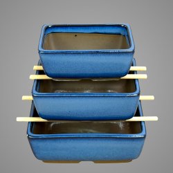 Bonsai-sk�le, Japanske, glaserede