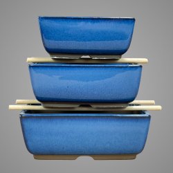 Bonsai-sk�le, Japanske, glaserede