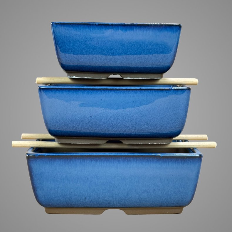 Bonsai-sk�le, Japanske, glaserede