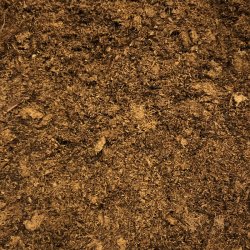 Lys Sphagnum, fin struktur