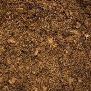 Lys Sphagnum, fin struktur